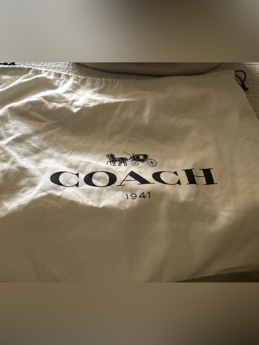 Coach 1941 Bandit 39 Hobo in Chalk with Gold Hardware - Picture 16 of 16